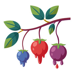 vector illustration of cherry