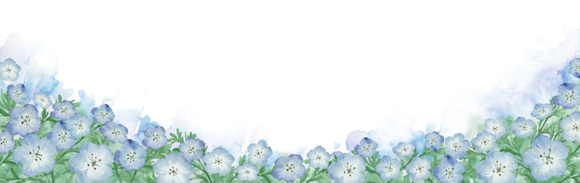 Watercolor nemophila flowers corner footer background. Hand-painted blue baby blue eyes floral border with copy space for spring designs.-300dpi-		
