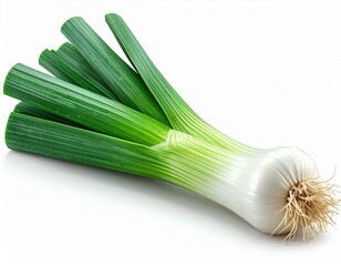 Fresh Green Scallion Vegetable Isolated on White Background.