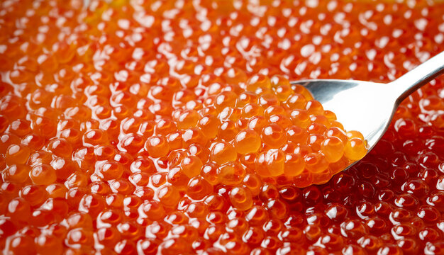 Fresh salmon roe on a spoon