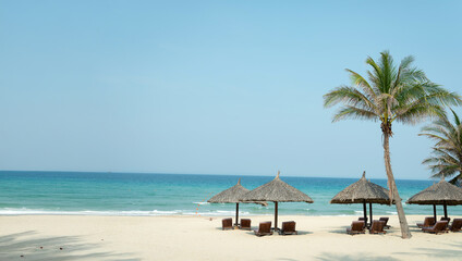 Fototapeta premium tropical beach with coconut palm trees