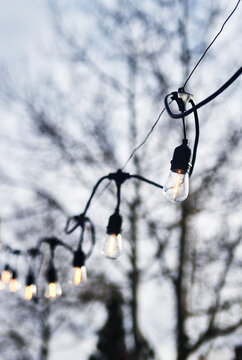Outdoor LED string lights with Edison-style bulbs
