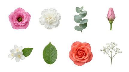 Fototapeta premium Floral set including pink lisianthus, white carnation, coral rose, jasmine, gypsophila, and eucalyptus foliage isolated. Botanical wedding decoration and spring nature collection.