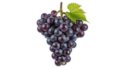 Fototapeta premium Fresh dark grapes with water droplets isolated PNG, juicy fruit with green leaf on transparent background for healthy eating and design