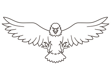 Bald eagle line art vector illustration