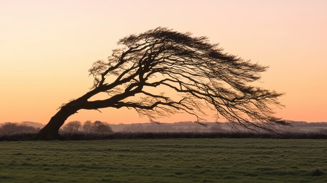 A solitary bare tree bends dramatically under strong wind gusts against a vibrant orange and pink sunset sky