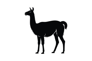 Fototapeta premium Black silhouette of a llama standing profile view isolated on white background