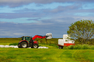 Bale of hay wrapped in plastic foil, Norway