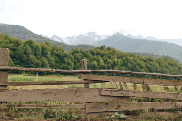 Obraz premium Fence meadow mountains forest rural landscape countryside rustic nature wooden A rustic wooden fence in green meadow with forest and distant snow mountains under cloudy sky