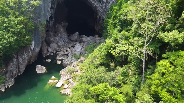 Bats flying above river near Xe Bang Fai Cave in Laos