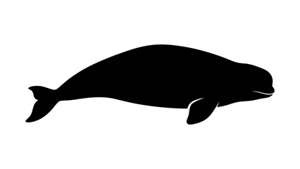 Silhouette of a whale swimming in the ocean from a side viewpoint © T.ONE