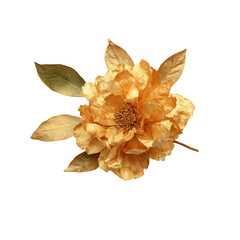 Naklejka premium Dried orange flower with leaves isolated on a transparent background
