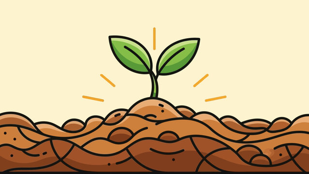 Small green plant sprouting from soil.
