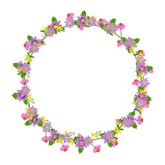 Cornice circolare con delicati fiori viola e gialli, illustrazione vettoriali © sommaria