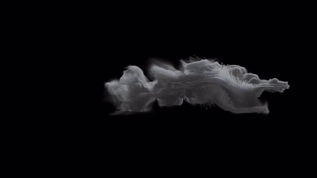 
Abstract Smoke Cloud Flow On Transparent Background Effect

Soft flowing smoke cloud forming abstract shapes With Alpha Channel for cinematic atmospheric visual effects
