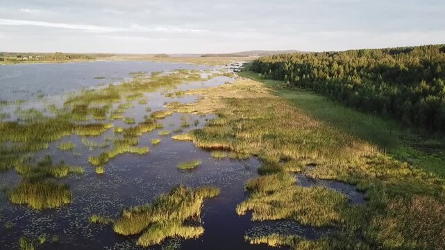 Slow circling drone flight across a beautiful bay in Sweden during sunset