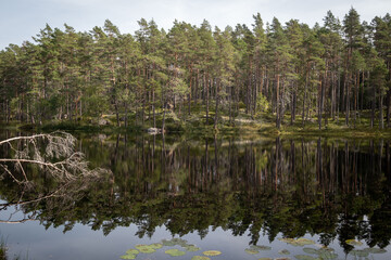 Norra Kvills national park in Sweden