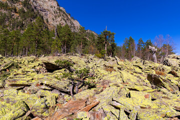 View of a high-mountain gorge on Dombai in the Teberda Nature Reserve