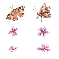Naklejka premium A set of butterflies and spring pink peach flowers. Isolated watercolor illustration in a realistic style for postcards, interiors, packaging, merch, posters, and fabrics.