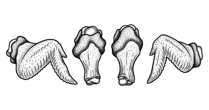 Vintage style chicken wings and drumstick illustrations in black and white