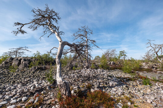 Beautiful Segersg&auml;rde nature reserve in Sweden