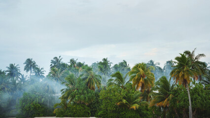 Obraz premium Palm trees and smoke - pest control in tropics. Beautiful maldives tropical island