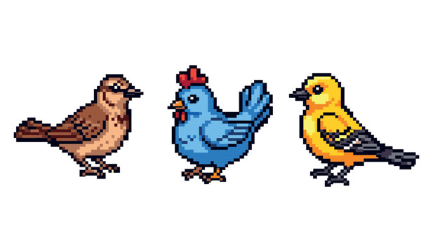 Pixel art birds: sparrow, blue chicken, and yellow finch