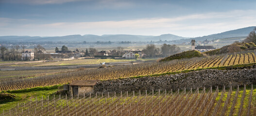 Winter vineyards of Pommard, Volnay and Meursault, C&ocirc;te de Beaune