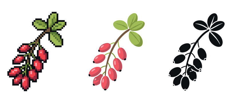 Pixelated and silhouette barberry branches on white background