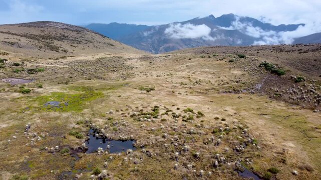 High altitude Paramo de Santurban landscape in Santander, Colombia