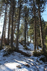 Snow-covered mountains in the Pyrenees, Andorra - Winter landscape