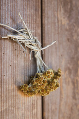 壁に吊るされた綺麗なドライフラワーリース