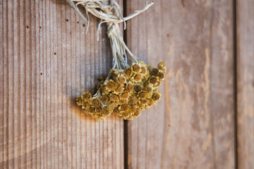 壁に吊るされた綺麗なドライフラワーリース