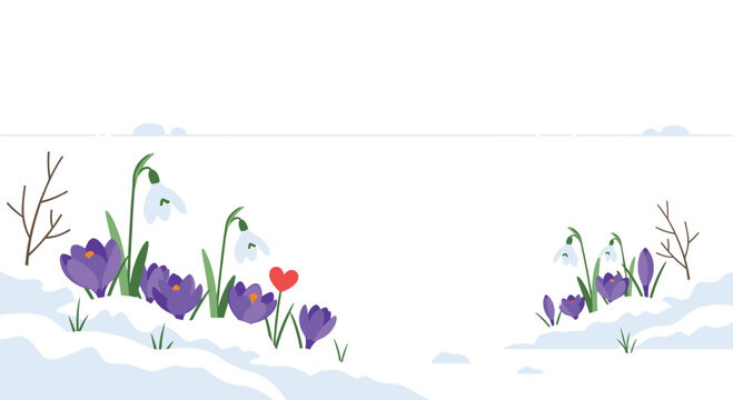 Spring Flowers Crocuses and Snowdrops Growing Through Melting Snow with a Red Heart Symbolizing Nature's Rebirth