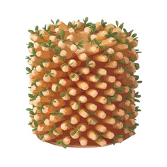 Delicious chickpea cake with fresh herbs isolated on white background, Vector, illustration