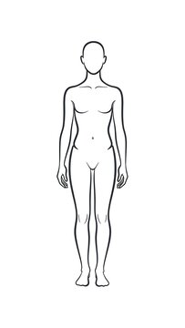 Human body outline front view drawing.