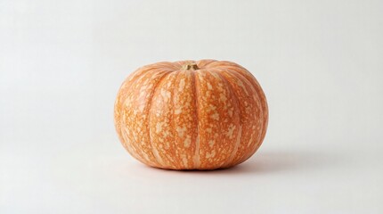 A single round orange pumpkin with subtle speckled patterns on its skin, isolated against a clean white background.