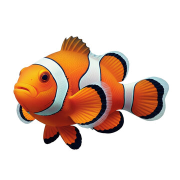 A vibrant orange clownfish with white stripes swims against a black background