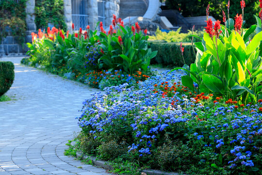 home town flower bed square local outdoor spring blossom season time