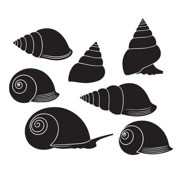 Black Cone snail  Silhouette Vector Illustration design, Solid White Background
