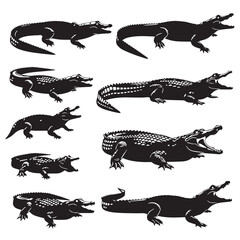 Fototapeta premium Black Dwarf crocodile Silhouette Vector Illustration design, Solid White Background