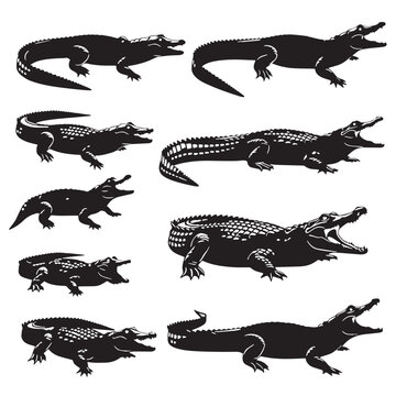 Black Dwarf crocodile Silhouette Vector Illustration design, Solid White Background