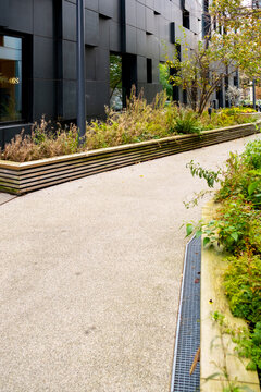 Outdoor urban pathway and walkway through minimal garden landscape with plants and greenery beside architecture creating calm space for community design