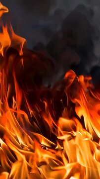 Captivating Flames: A Mesmerizing Display of Fire's Irresistible Dance, Showcasing the Beauty and Power of Nature's Element with Vibrant Colors and Dynamic Movement.