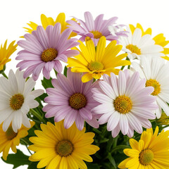 Naklejka premium A vibrant bouquet of colorful daisies against a clean white background