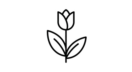 Obraz premium Outline Tulip Flower with Leaves Representing Spring Blossom on an Isolated White Background