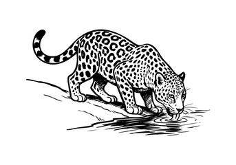 Fototapeta premium Jaguar hand drawn simple sketch vector illustration