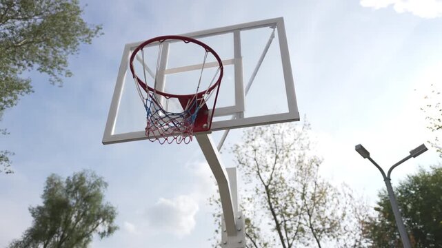 Outdoor basketball hoop with transparent backboard stands among tall trees. Basketball stand placed between trees creates dynamic atmosphere