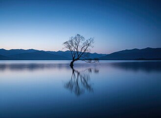 Aerial view of an urban park surrounded by modern cityscape with lush greenery and busy streets