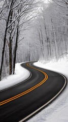 Snowy forest road winds through bare trees, fresh powder along the shoulders, misty glow over asphalt. Quietly